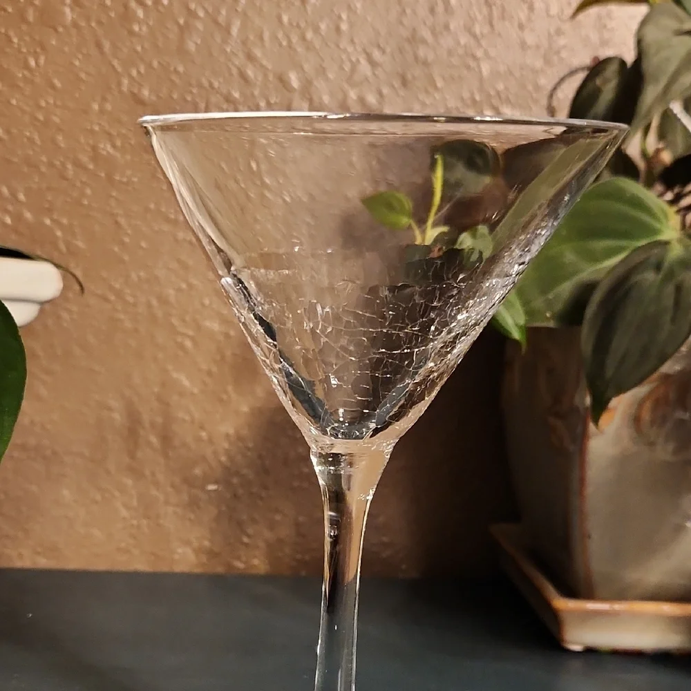 Pier 1 Angled Rim Crackle Martini Coupe Glass